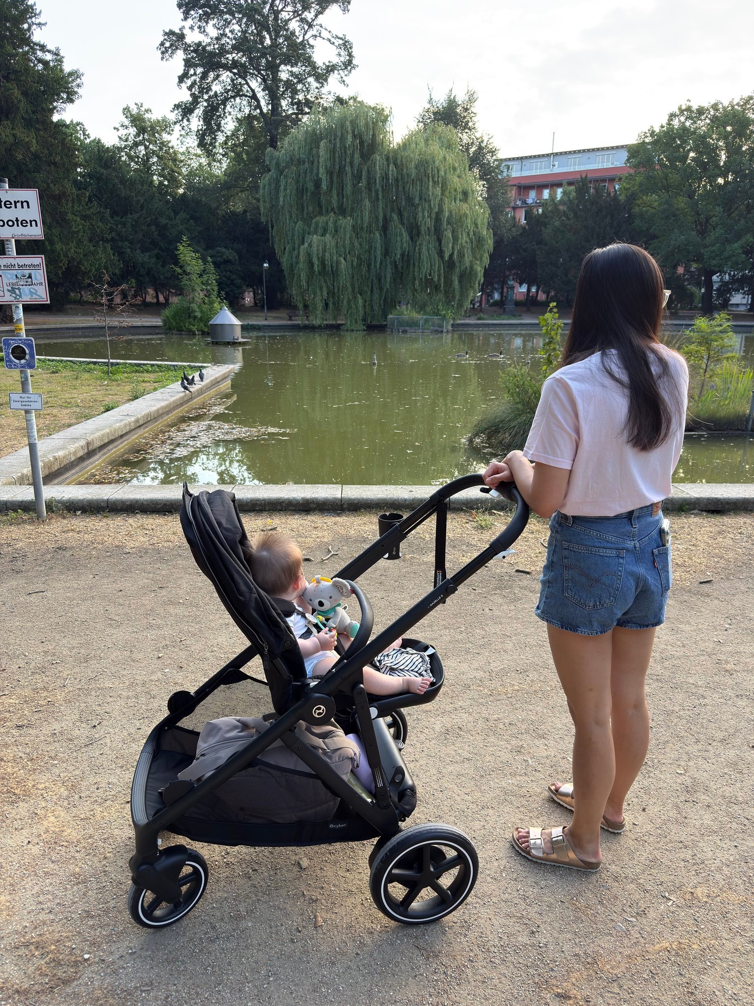 A woman pushes a baby stroller by a pond in a park, with a large willow tree and ducks in the water nearby.
